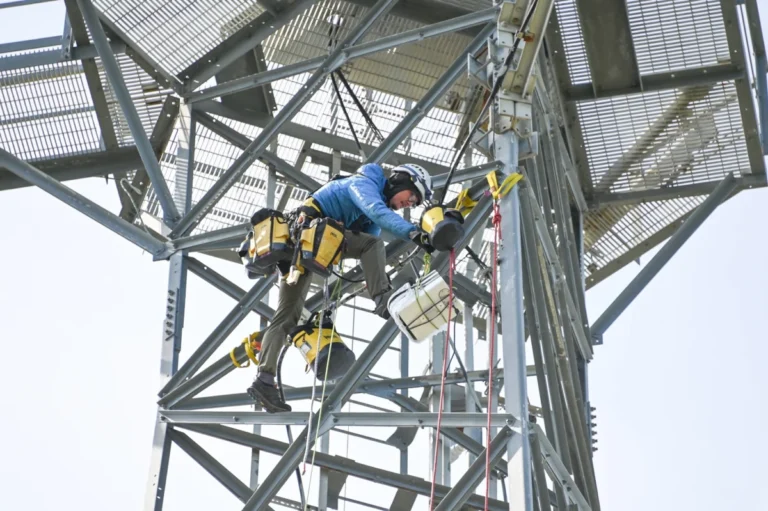 ai-powered-thermal-imaging-technology-offers-new-lifeline-for-endangered-southern-resident-orcas-in-puget-sound