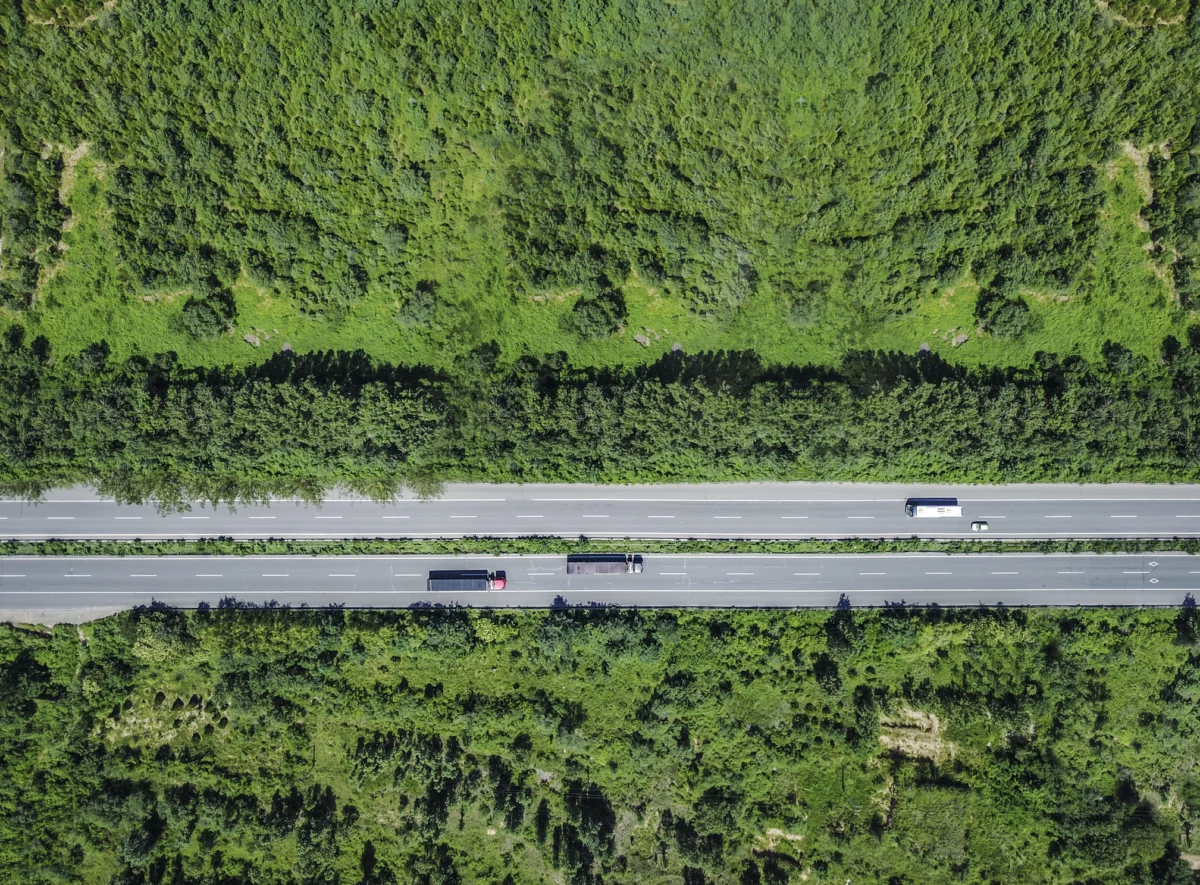 Aerial View Of Forest Road