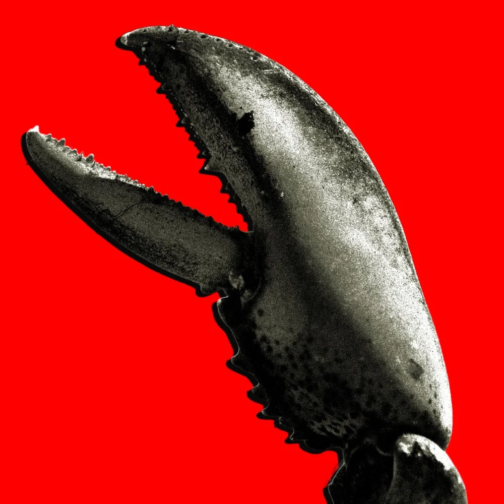 the-openclaw-phenomenon-how-an-ai-agent-captured-chinas-imagination-and-exposed-a-technical-divide