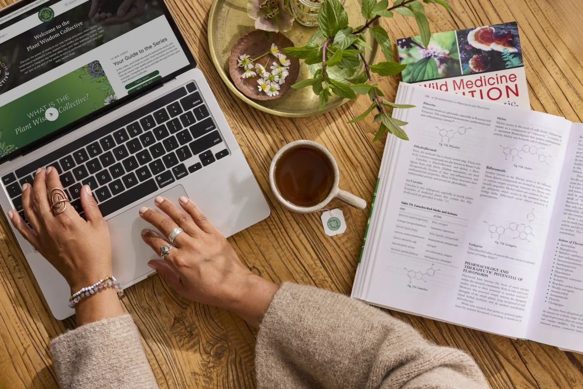 the-science-of-plant-wisdom-how-herbalism-unlocks-better-health-and-deeper-connection
