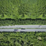 Aerial View Of Forest Road