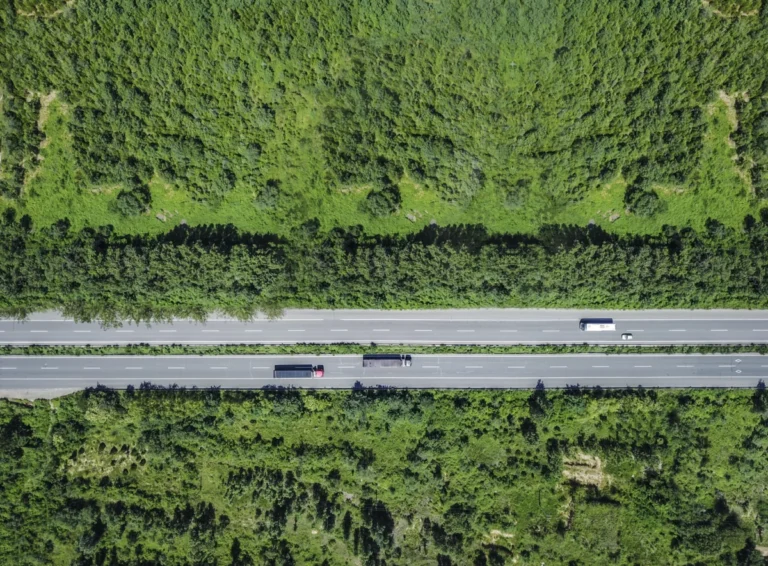 Aerial View Of Forest Road