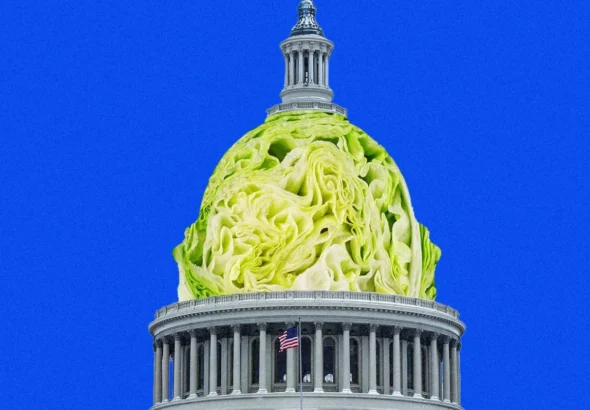 taylor-farms-faces-mounting-criticism-over-political-influence-and-safety-record-following-nationwide-cyclospora-outbreak