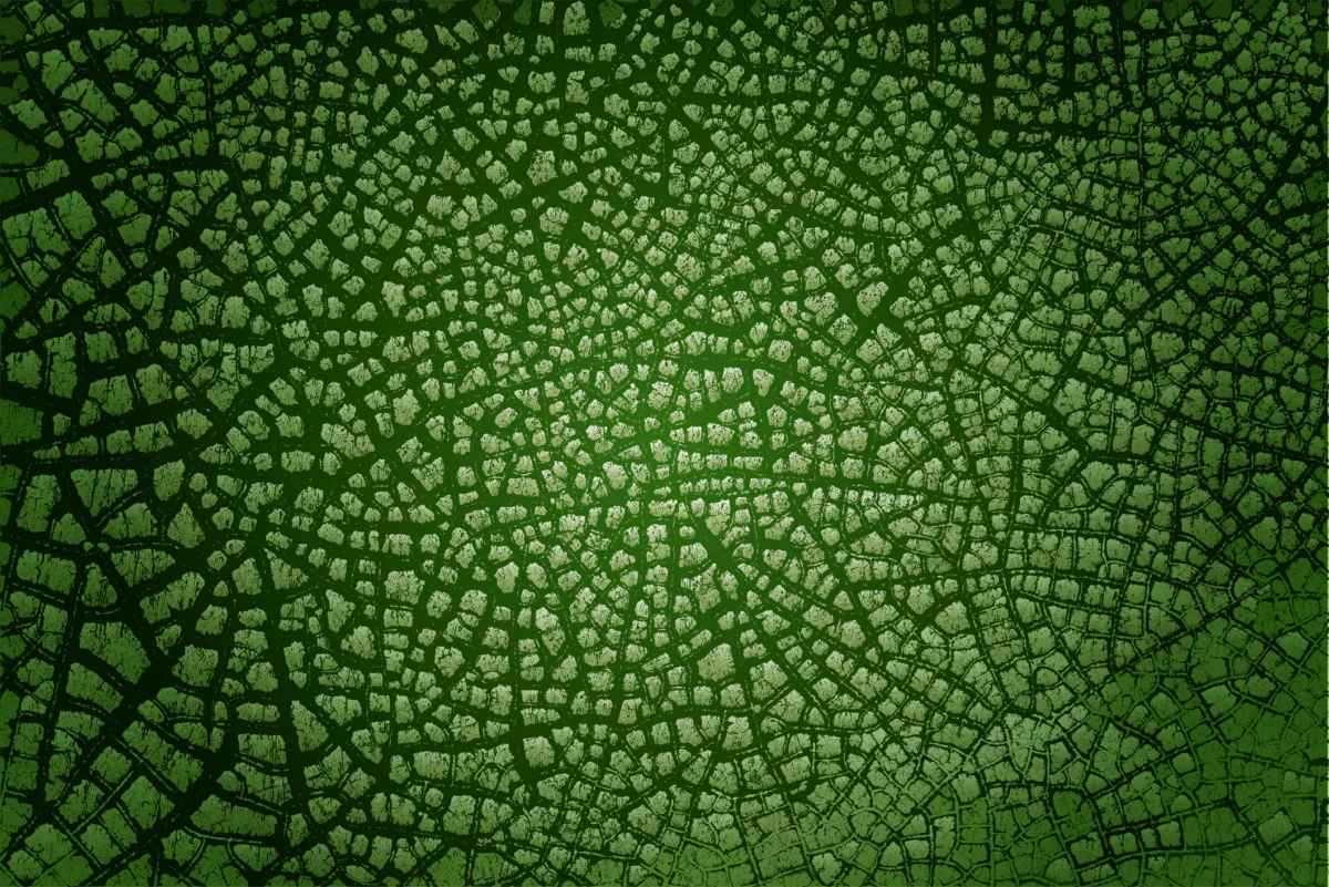 Green life