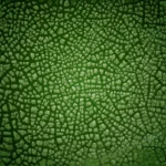 Green life