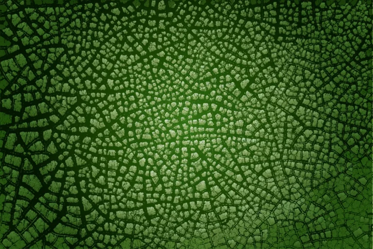 Green life