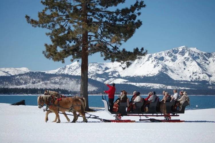 tahoe-sleigh-carriage-rides-a-legacy-of-joy-on-the-nevada-shore
