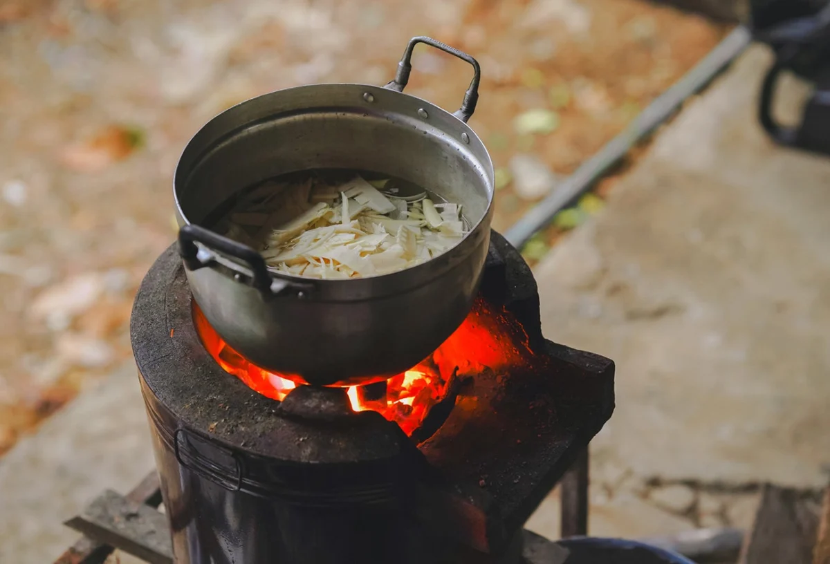 clean-cookstove-subsidies-emerge-as-unsung-heroes-in-climate-fight-outperforming-evs-and-solar-in-carbon-abatement-efficiency