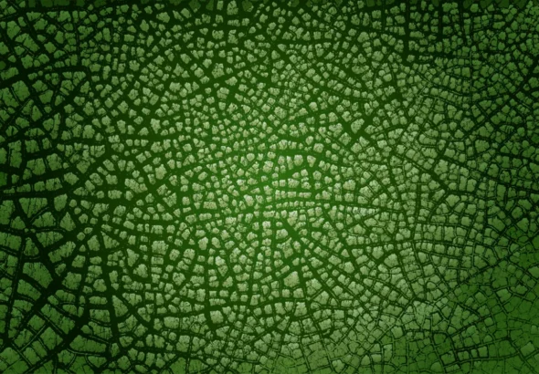 Green life